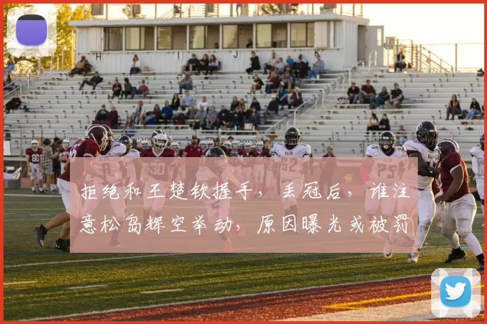 拒绝和王楚钦握手，丢冠后，谁注意松岛辉空举动，原因曝光或被罚