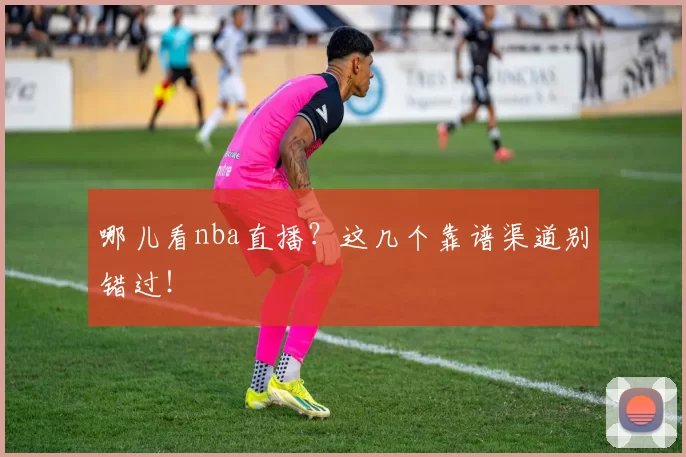 哪儿看nba直播？这几个靠谱渠道别错过！