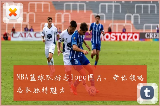 NBA篮球队标志logo图片，带你领略各队独特魅力