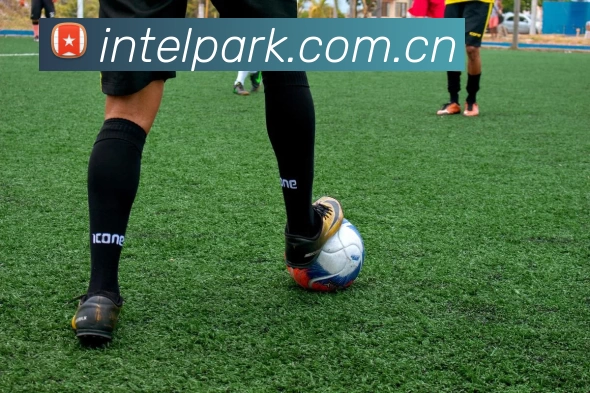 leyu乐鱼官方在线登录品牌故事